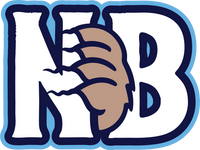 New Bern Southpaws baseball team